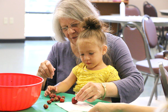 Intergenerational Harvest focuses on strawberries